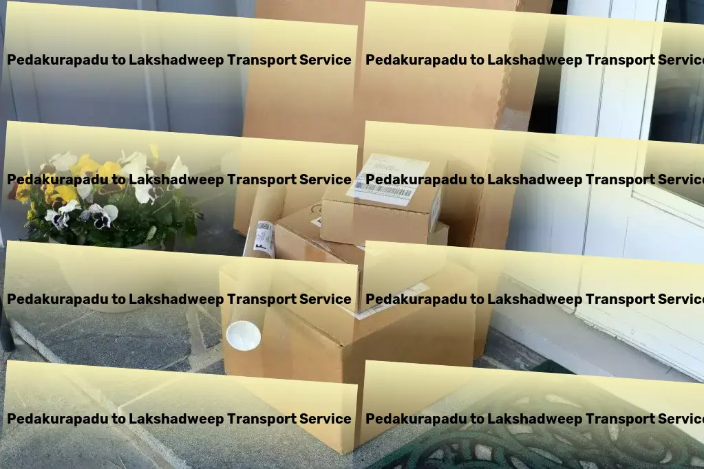 Pedakurapadu to Lakshadweep Transport Specialized household moving