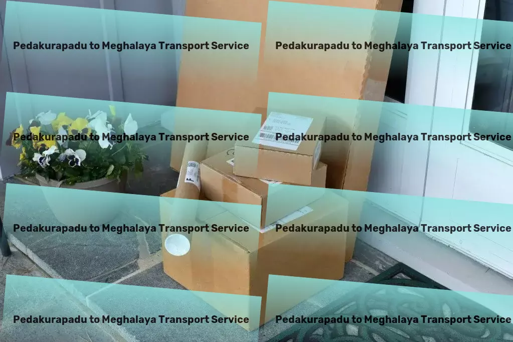 Pedakurapadu to Meghalaya Transport Full-service logistics provider