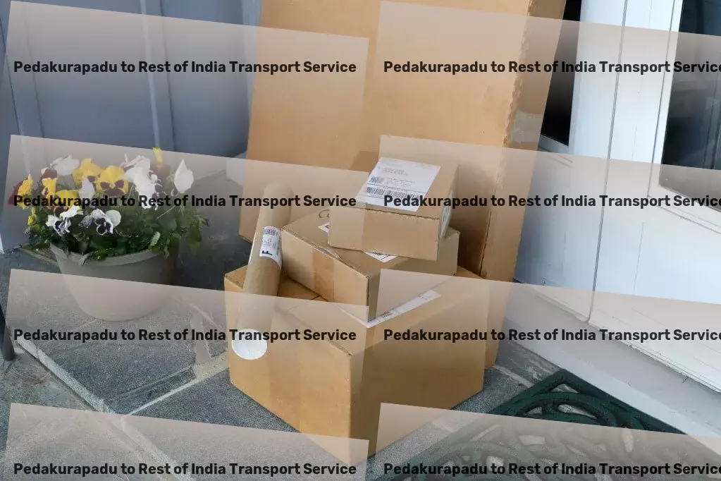 Pedakurapadu to Rest Of India Transport Comprehensive package forwarding