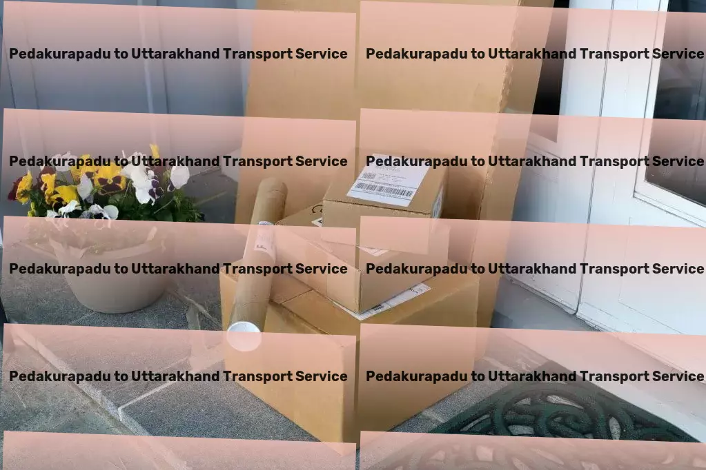 Pedakurapadu to Uttarakhand Transport Professional movers