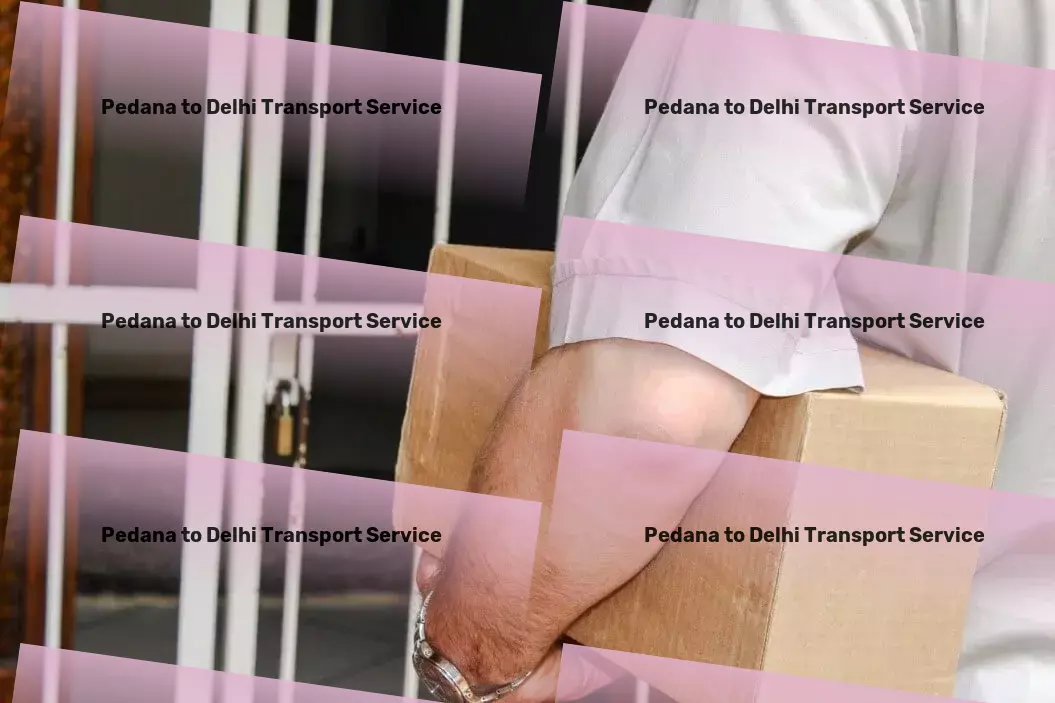 Pedana to Delhi Transport Transport delivery services