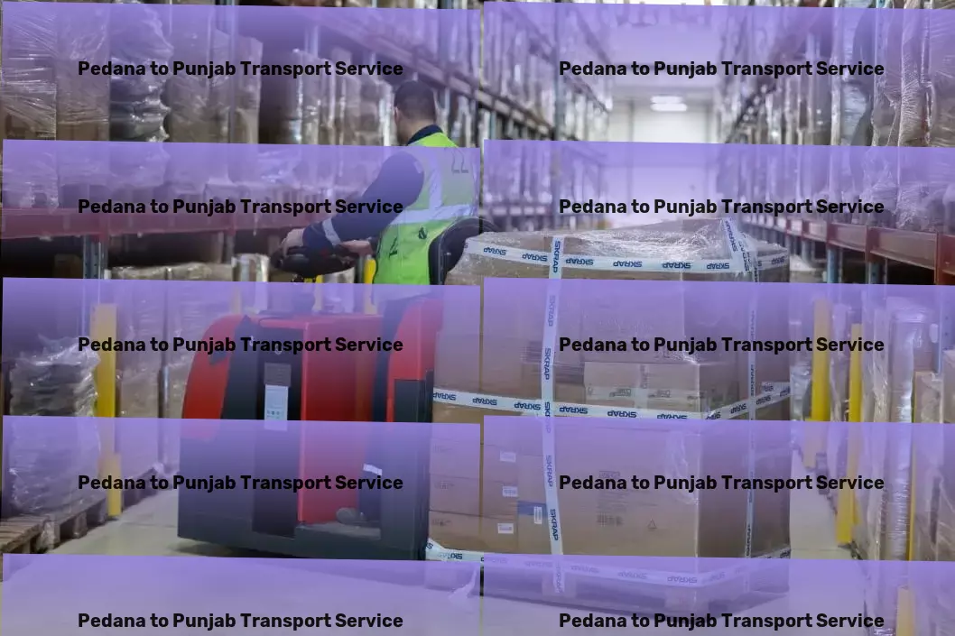 Pedana to Punjab Transport Nationwide transport operations