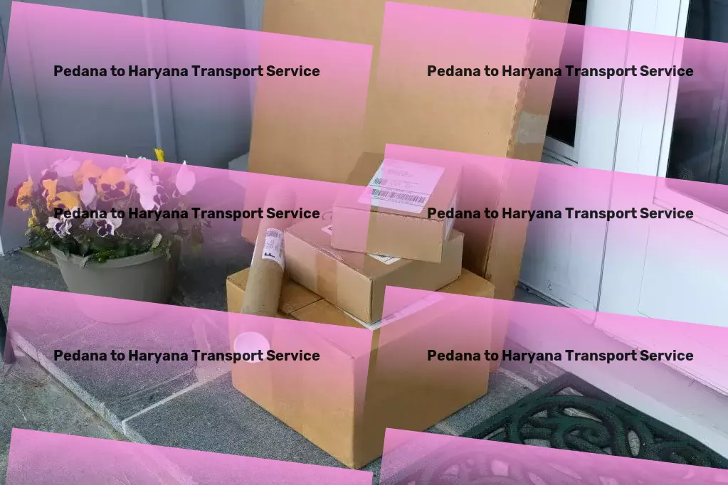 Pedana to Haryana Transport Regional cargo forwarding