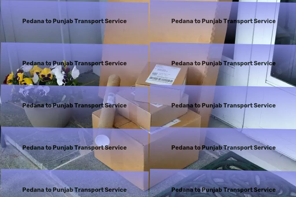 Pedana to Punjab Transport Pioneering change in the travel industry for you! - High-capacity transport and shipment