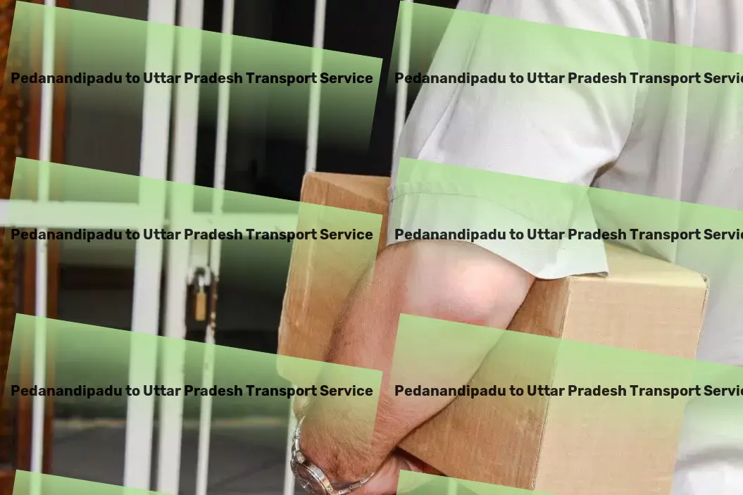 Pedanandipadu to Uttar Pradesh Transport Distribution services