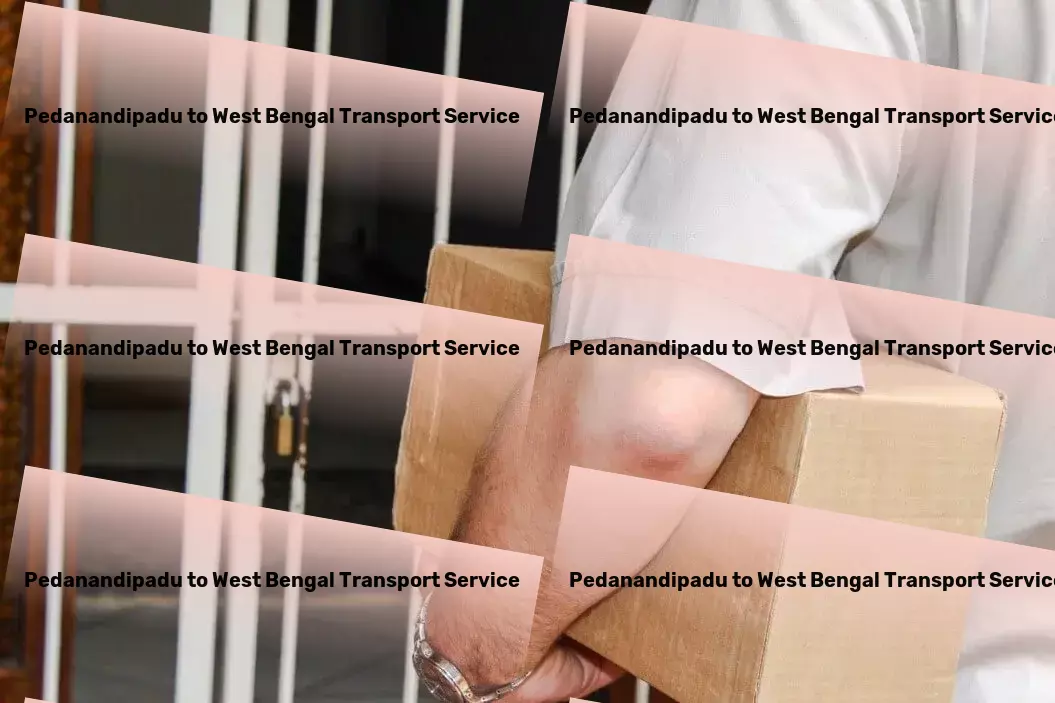 Pedanandipadu to West Bengal Transport Local freight services