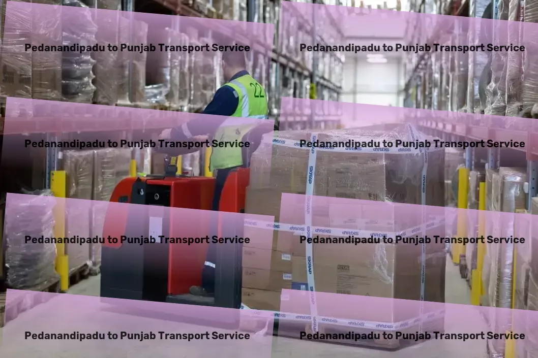 Pedanandipadu to Punjab Transport High-capacity freight logistics