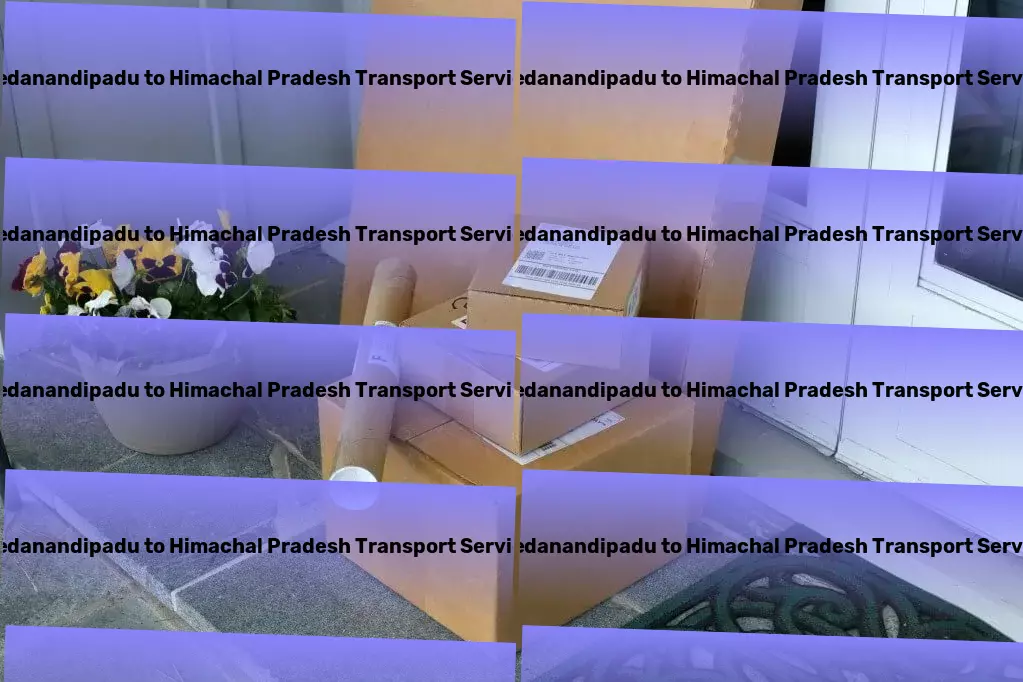 Pedanandipadu to Himachal Pradesh Transport Specialized transport and shipment