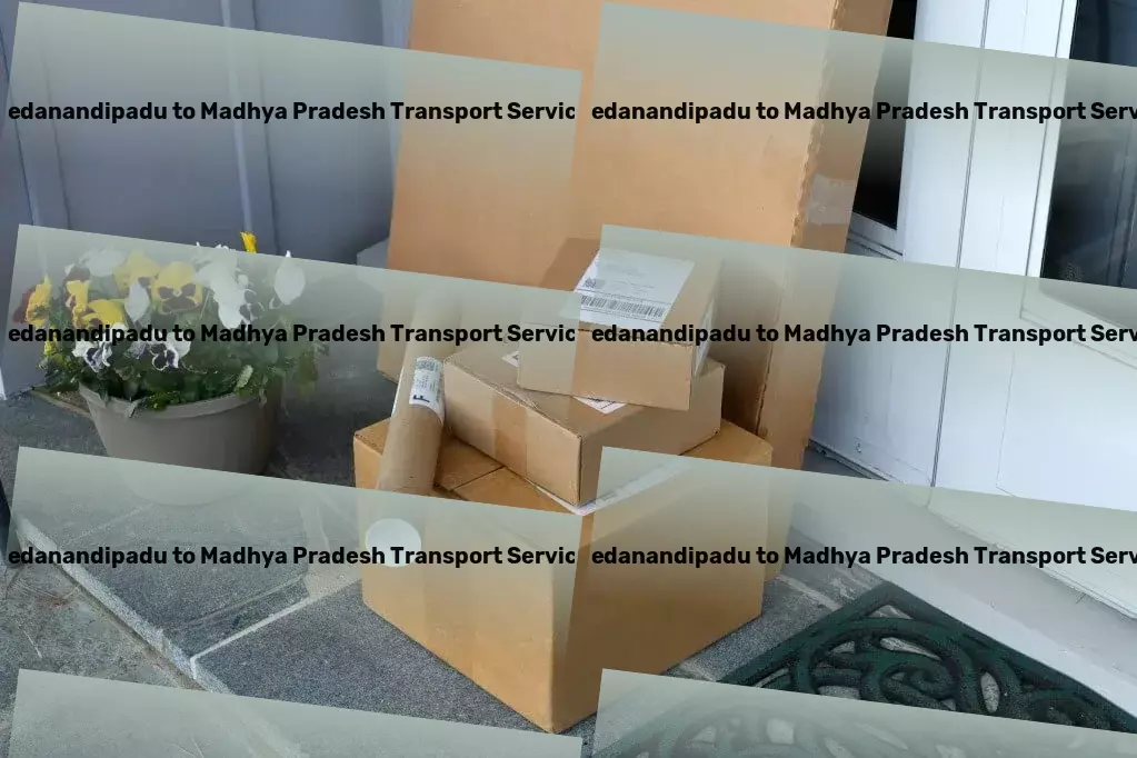 Pedanandipadu to Madhya Pradesh Transport Bringing precision to India's logistics challenges! - Multi-regional cargo transport