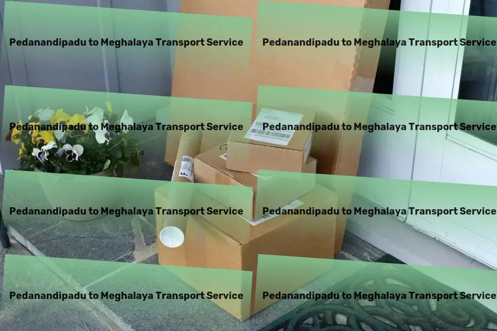 Pedanandipadu to Meghalaya Transport Nationwide package forwarding