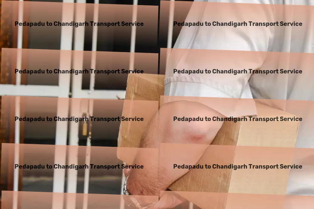 Pedapadu to Chandigarh Transport Discover new worlds through captivating books and stories! - National logistics coordination