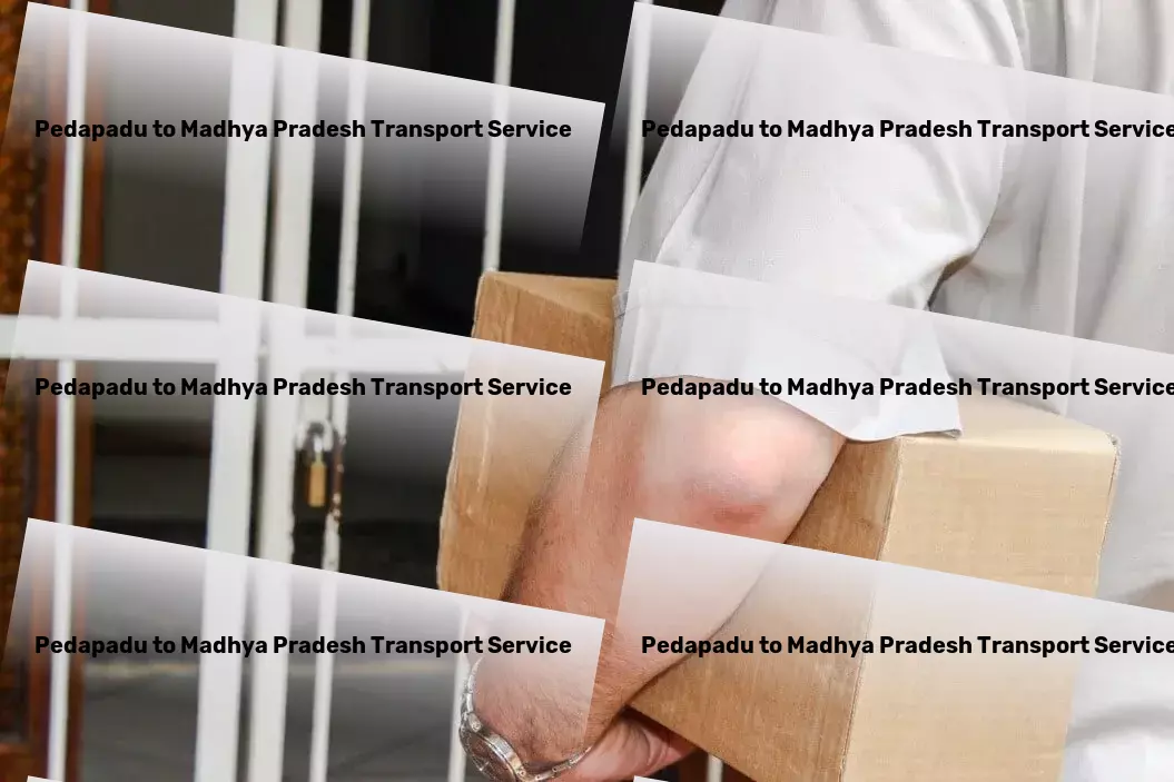 Pedapadu to Madhya Pradesh Transport Nothing but excellence in every mile travelled with us! - Critical package delivery