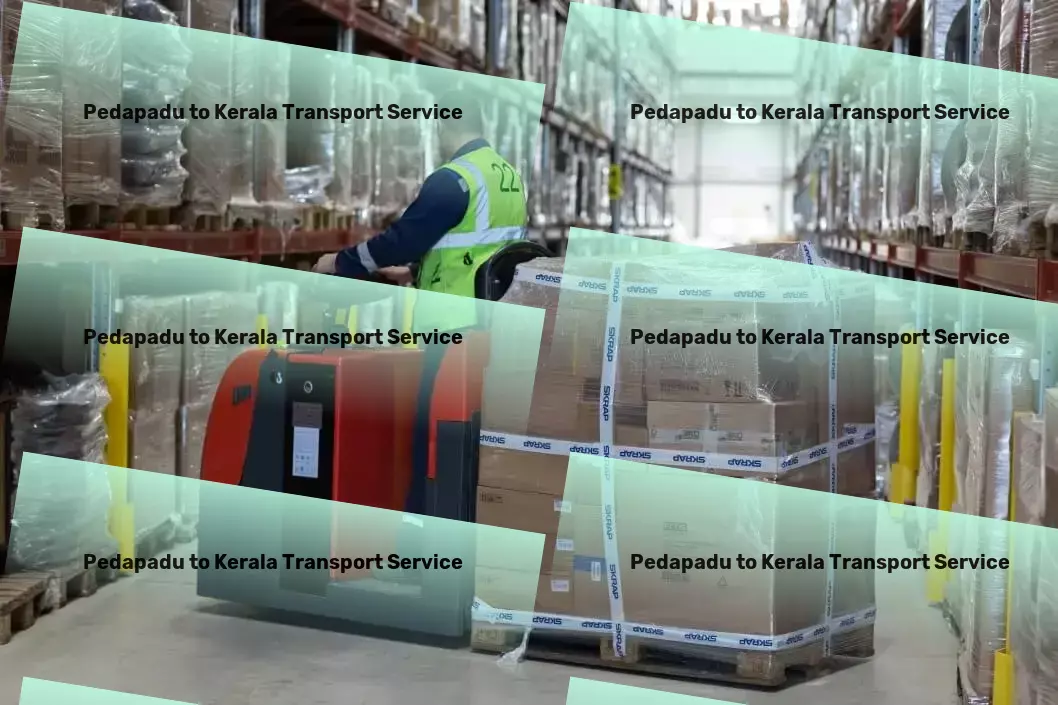 Pedapadu to Kerala Transport Specialized transport solutions