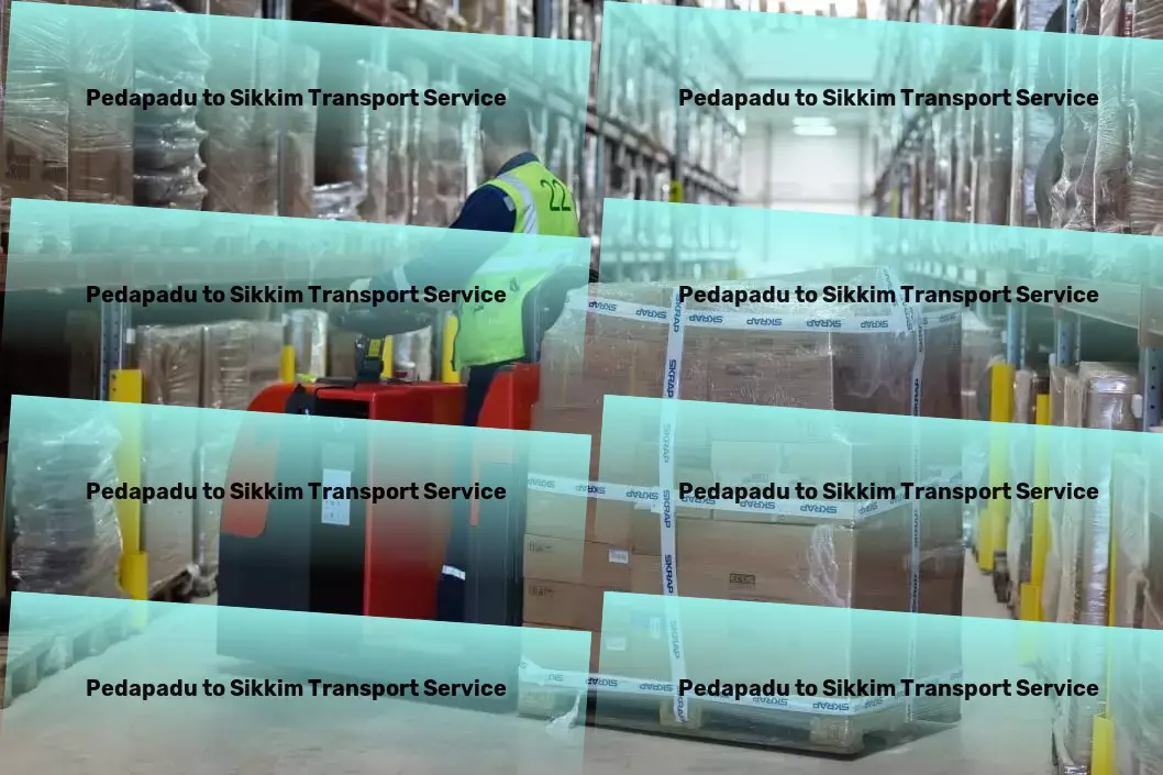 Pedapadu to Sikkim Transport Industrial shipping coordination