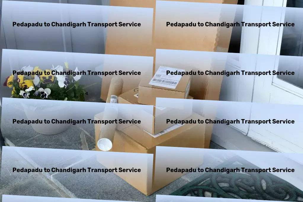 Pedapadu to Chandigarh Transport Customized cargo dispatch