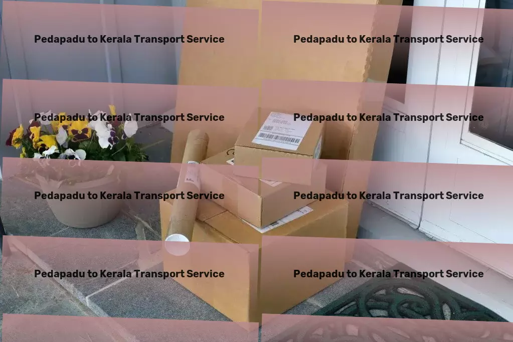 Pedapadu to Kerala Transport Gear up for adventure with outdoor survival skills! - Fast-moving goods services