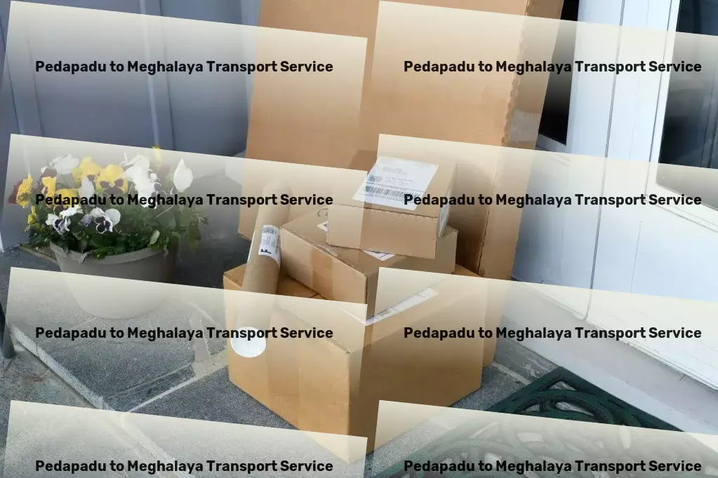 Pedapadu to Meghalaya Transport Transport solutions that fit your Indian logistics puzzle! - Efficient parcel freight