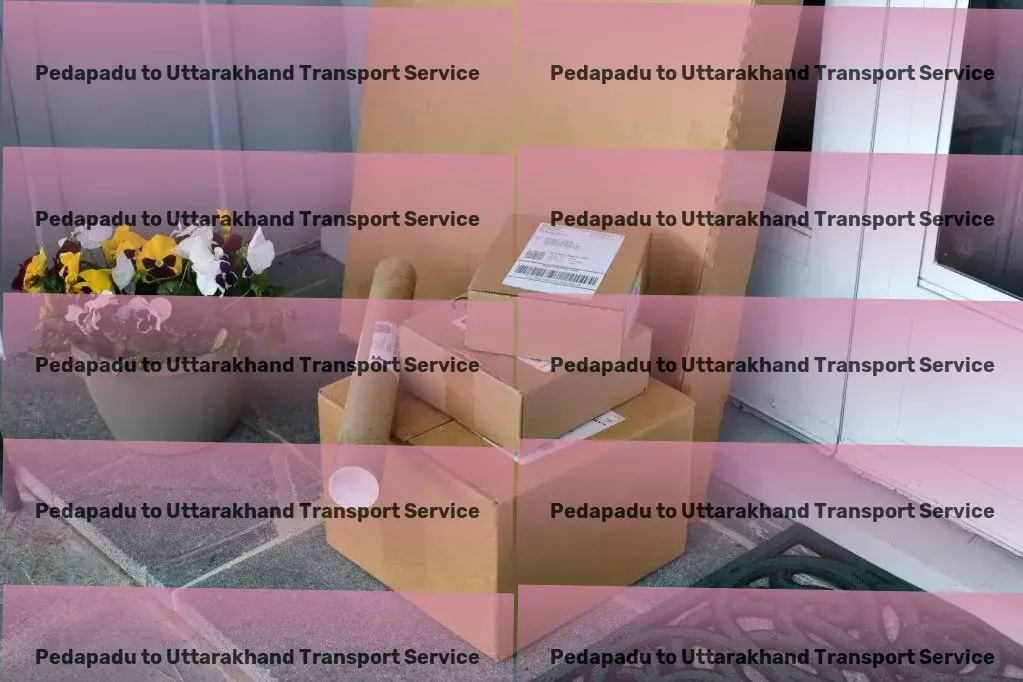 Pedapadu to Uttarakhand Transport Professional transport solutions