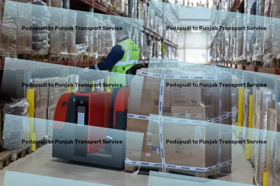 Pedapudi to Punjab Transport Custom freight services