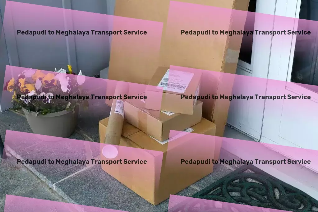 Pedapudi to Meghalaya Transport Vehicle transport services