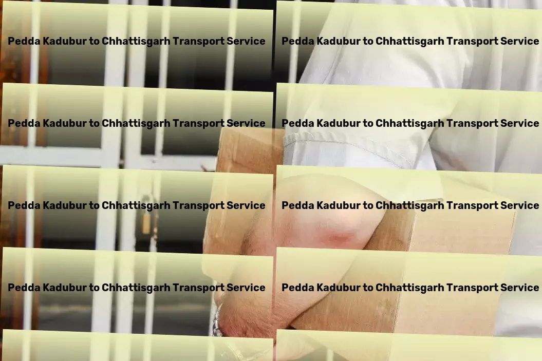 Pedda Kadubur to Chhattisgarh Transport Driving forward innovative logistics solutions for India! - Specialized courier operations