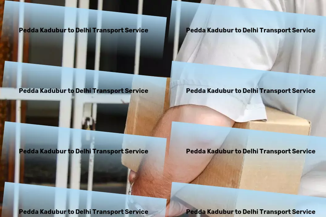 Pedda Kadubur to Delhi Transport Commercial cargo solutions