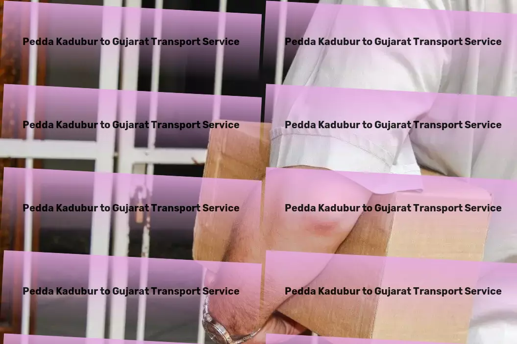 Pedda Kadubur to Gujarat Transport Large-scale shipping services