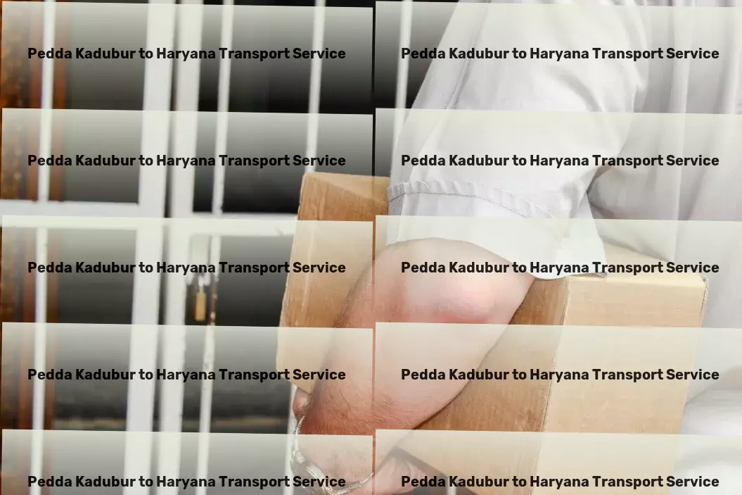 Pedda Kadubur to Haryana Transport From coast to coast - dependable Indian transport services! - Heavy goods shipment services