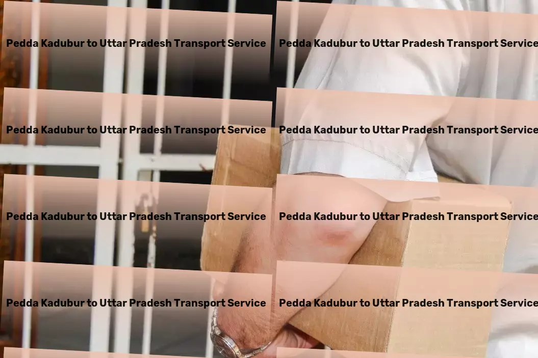 Pedda Kadubur to Uttar Pradesh Transport India's trusted partner in overcoming logistical challenges! - Professional freight forwarding