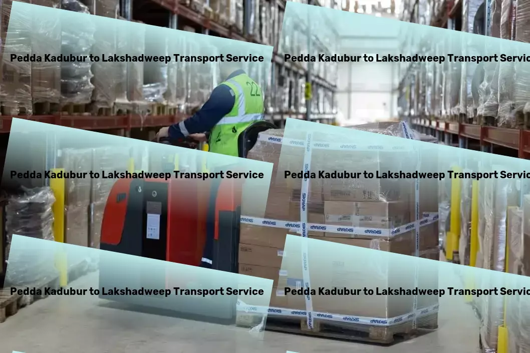 Pedda Kadubur to Lakshadweep Transport National freight dispatch services