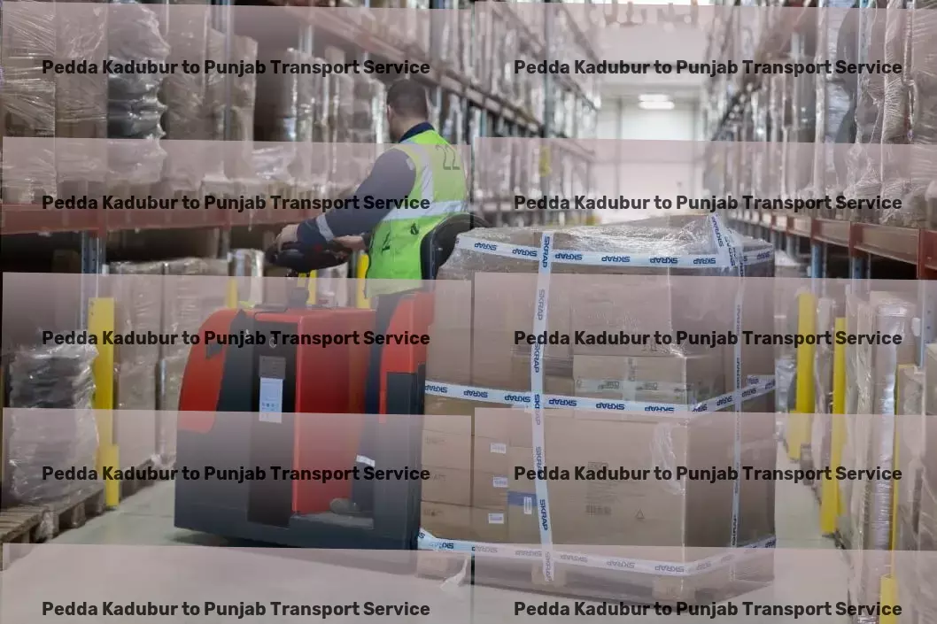 Pedda Kadubur to Punjab Transport Comprehensive logistic operations