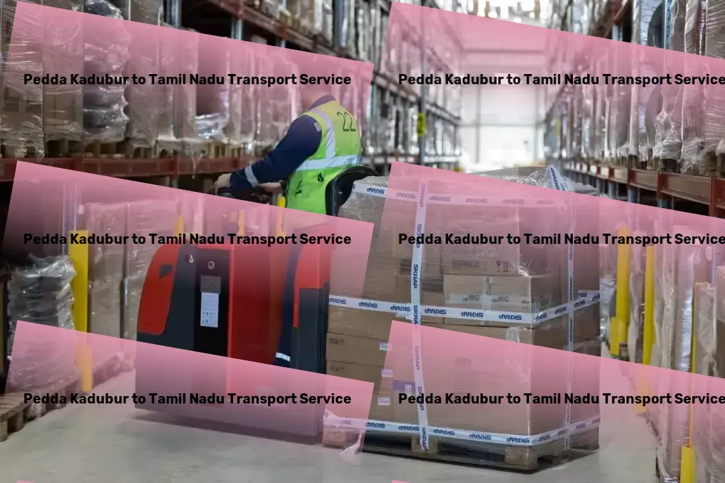 Pedda Kadubur to Tamil Nadu Transport Express parcel shipment services