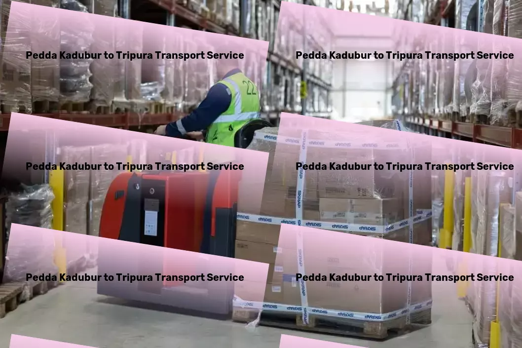 Pedda Kadubur to Tripura Transport Revolutionize your health with cutting-edge solutions! - Customized shipping solutions