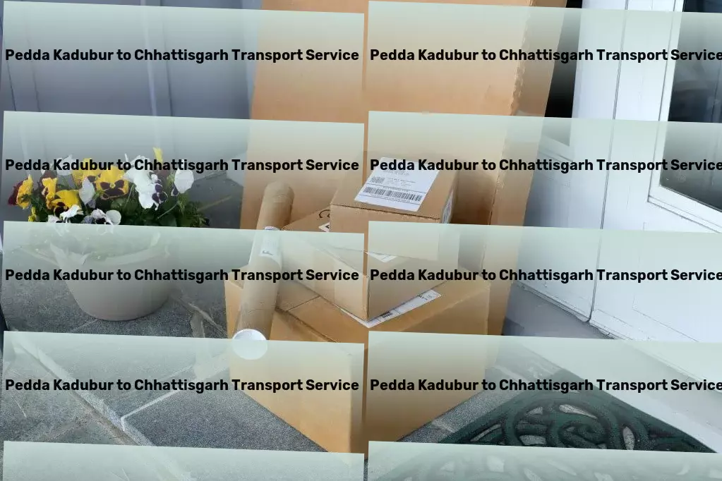 Pedda Kadubur to Chhattisgarh Transport Crafted for those who demand nothing but the best in their travels. - Door to door delivery