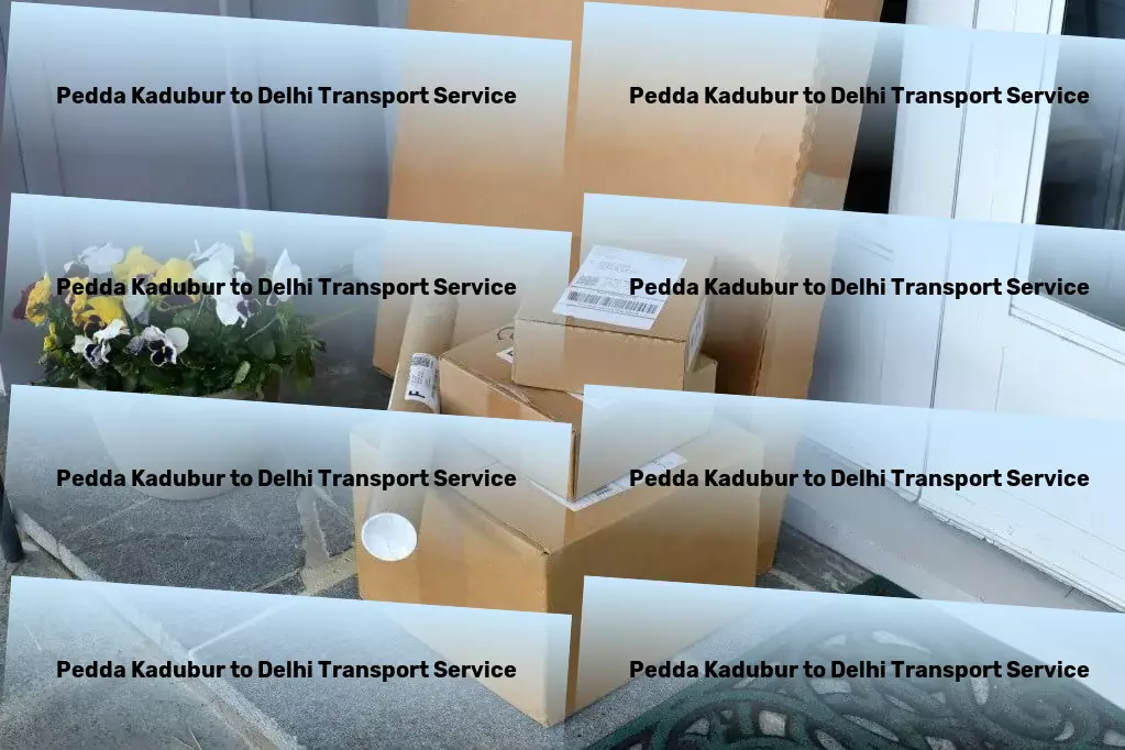 Pedda Kadubur to Delhi Transport Multi-regional transport operations