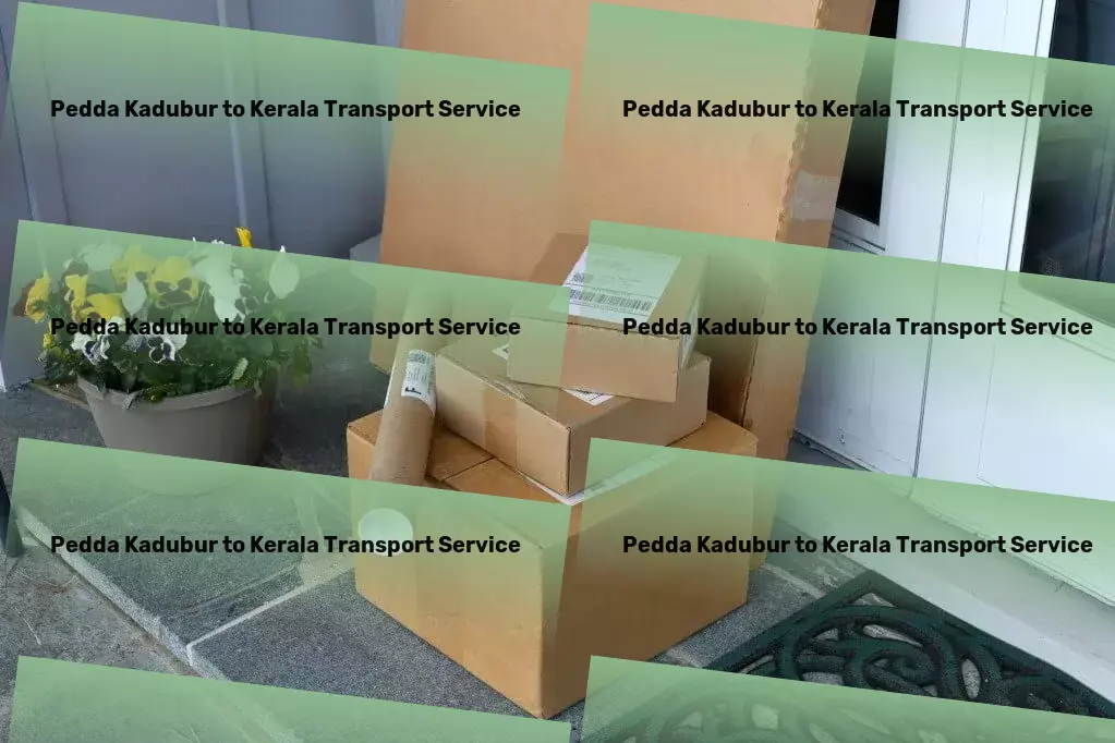 Pedda Kadubur to Kerala Transport Integrated shipping solutions