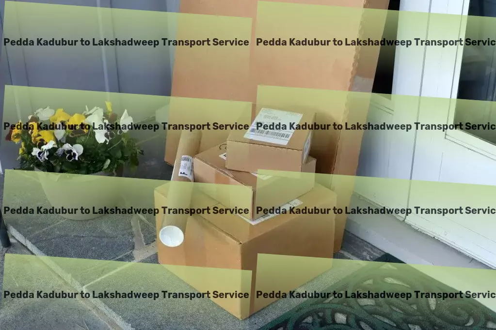 Pedda Kadubur to Lakshadweep Transport Expert advice for all your transportation needs in India! - Nationwide transport coordination