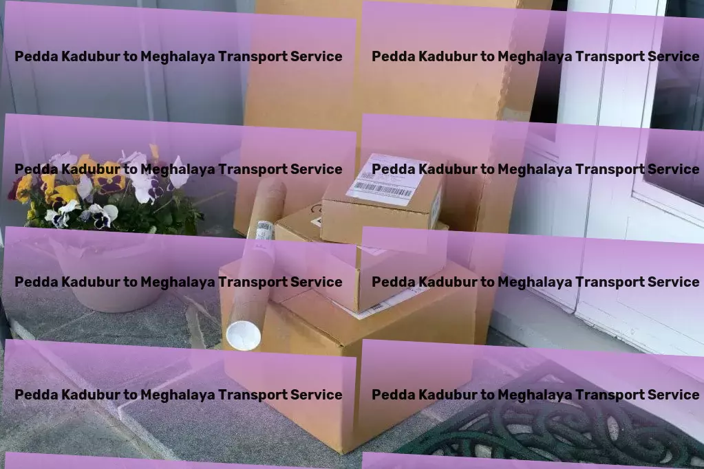 Pedda Kadubur to Meghalaya Transport Full-load goods services