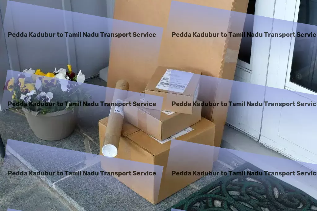 Pedda Kadubur to Tamil Nadu Transport Nationwide delivery and shipment