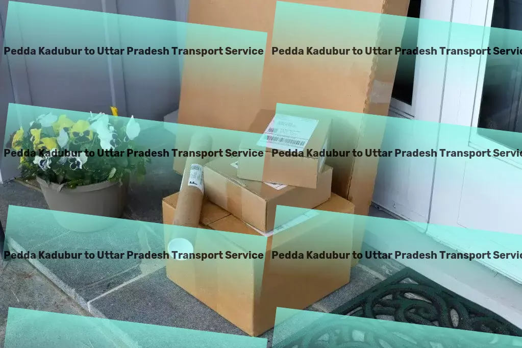 Pedda Kadubur to Uttar Pradesh Transport Nationwide shipping solutions