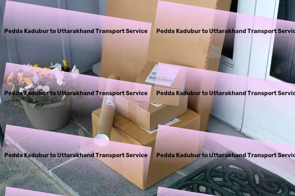 Pedda Kadubur to Uttarakhand Transport Quick cargo transport