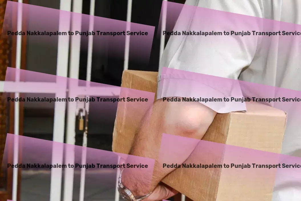 Pedda Nakkalapalem to Punjab Transport Your cargo, our priority: Trusted transport solutions for India - National parcel forwarding