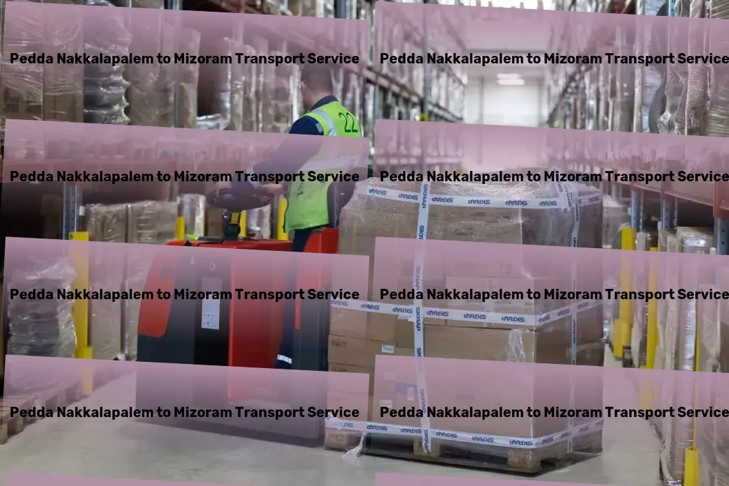 Pedda Nakkalapalem to Mizoram Transport Tailored to fit: Transport solutions that understand India. - Road-based freight services