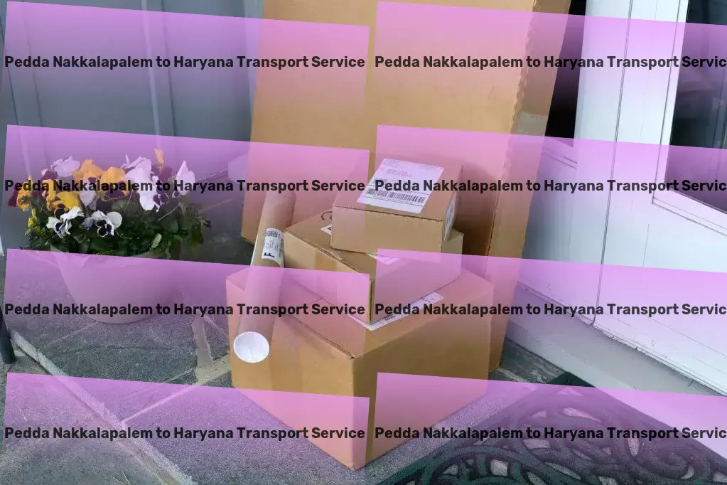 Pedda Nakkalapalem to Haryana Transport Transform your journey experience with our innovative approach! - Inter-city parcel delivery