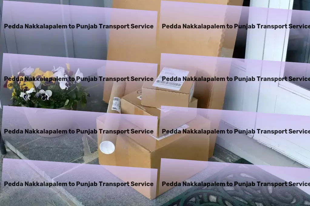 Pedda Nakkalapalem to Punjab Transport Express goods transport