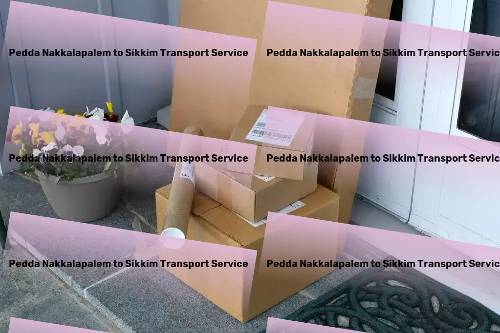 Pedda Nakkalapalem to Sikkim Transport Protect your data and privacy online with cybersecurity tips! - Nationwide package forwarding