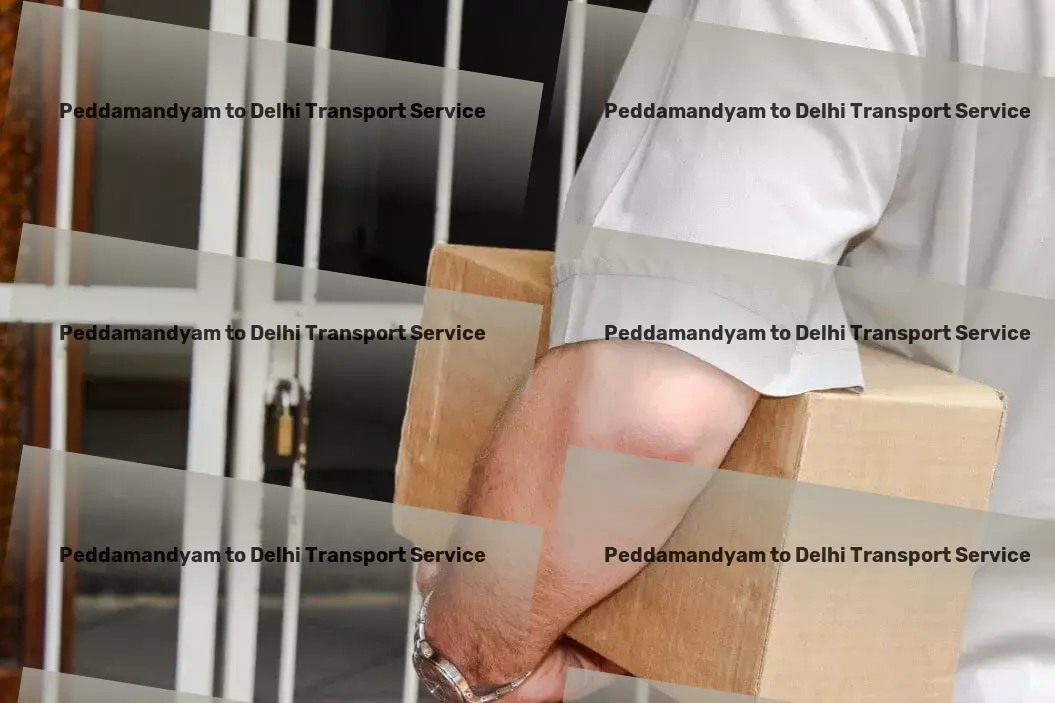 Peddamandyam to Delhi Transport Redefined logistics solutions for a new era in India! - Nationwide freight logistics