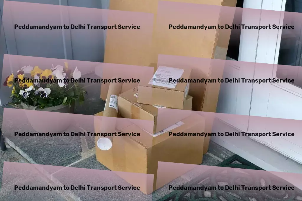 Peddamandyam to Delhi Transport Customized logistics strategies for India's unique challenges - Specialized shipment solutions