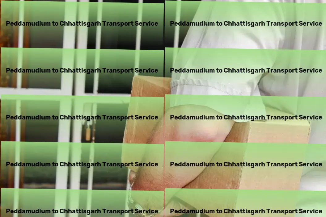 Peddamudium to Chhattisgarh Transport Secure goods transportation