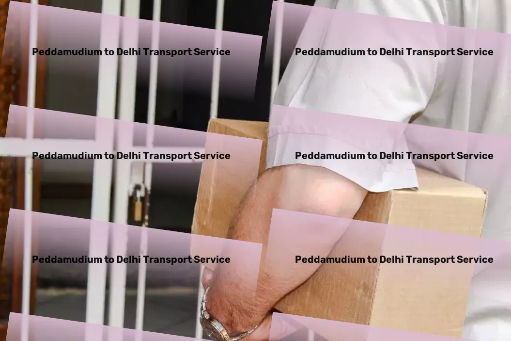 Peddamudium to Delhi Transport From coast to coast: Comprehensive logistics solutions in India - Large-scale cargo logistics